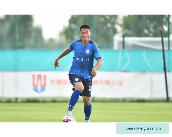 芬兰队长袖标归属明确，主力球员近期表现稳健领导作用